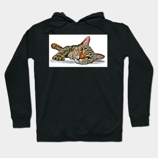 Shelter Cat #7 Hoodie